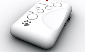 Garage Door Remote